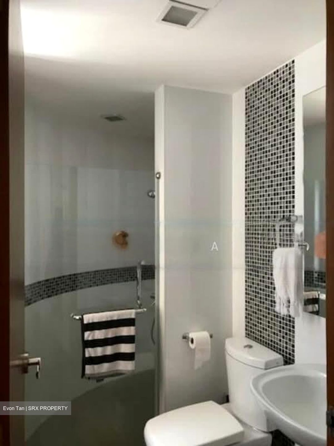 The Balmoral (D10), Condominium #563352131